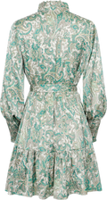 Saga Wide Small Paisley Dress - Green Small Paisley