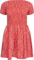 Deboni Mini Dress - Allura Floral - Red