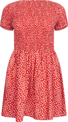Deboni Mini Dress - Allura Floral - Red