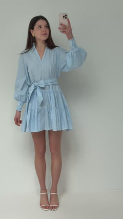 Delphine Stripe Dress - Blue Stripe