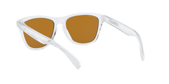 Frogskins - Polished Clear - Prizm Violet