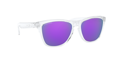 Frogskins - Polished Clear - Prizm Violet