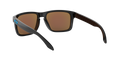 Holbrook - Polished Black - Prizm Sapphire