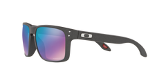 Holbrook - Steel - Prizm Snow Sapphire