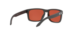 Holbrook - Steel - Prizm Snow Sapphire
