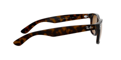New Wayfarer - Light Havana - B-15 Brown