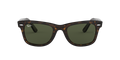 Wayfarer - Tortoise - G-15 Green