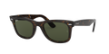 Wayfarer - Tortoise - G-15 Green