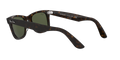 Wayfarer - Tortoise - G-15 Green