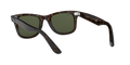 Wayfarer - Tortoise - G-15 Green