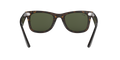 Wayfarer - Tortoise - G-15 Green