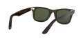 Wayfarer - Tortoise - G-15 Green
