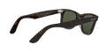 Wayfarer - Tortoise - G-15 Green