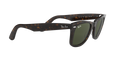 Wayfarer - Tortoise - G-15 Green