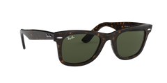 Wayfarer - Tortoise - G-15 Green