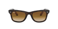 Wayfarer - Tortoise - Clear Gradient Brown