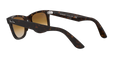 Wayfarer - Tortoise - Clear Gradient Brown