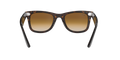 Wayfarer - Tortoise - Clear Gradient Brown