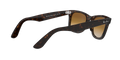 Wayfarer - Tortoise - Clear Gradient Brown