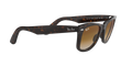 Wayfarer - Tortoise - Clear Gradient Brown