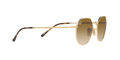 Jack - Arista - Clear Gradient Brown