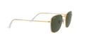 Frank - Legend Gold - G-15 Green