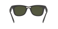 Folding Wayfarer - Matte Black - G-15 Green