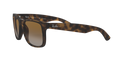 Justin - Rubber Havana - Grey Gradient Brown