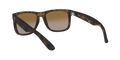 Justin - Rubber Havana - Grey Gradient Brown
