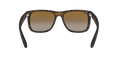Justin - Rubber Havana - Grey Gradient Brown