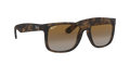 Justin - Rubber Havana - Grey Gradient Brown