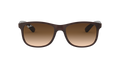 Andy - Matte Brown On Brown - Brown Gradient Dark Brown