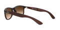 Andy - Matte Brown On Brown - Brown Gradient Dark Brown