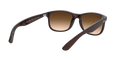 Andy - Matte Brown On Brown - Brown Gradient Dark Brown