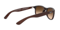 Andy - Matte Brown On Brown - Brown Gradient Dark Brown