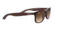 Andy - Matte Brown On Brown - Brown Gradient Dark Brown