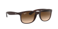Andy - Matte Brown On Brown - Brown Gradient Dark Brown