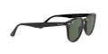 RB4259 - Black - Dark Green