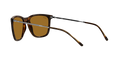 RB4344 - Havana - Brown
