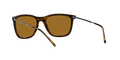 RB4344 - Havana - Brown
