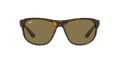 RB4351 - Havana - Dark Brown