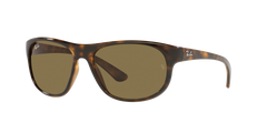 RB4351 - Havana - Dark Brown