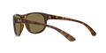 RB4351 - Havana - Dark Brown