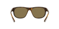 RB4351 - Havana - Dark Brown