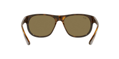 RB4351 - Havana - Dark Brown