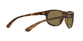 RB4351 - Havana - Dark Brown