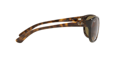 RB4351 - Havana - Dark Brown