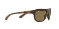 RB4351 - Havana - Dark Brown