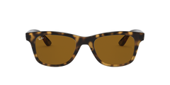 RB4640 - Light Havana - B-15 Brown