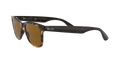 RB4640 - Light Havana - B-15 Brown